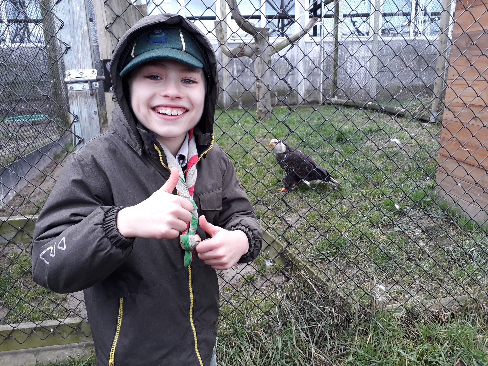 Sint-Martinus den XIIde - Roofvogelactiviteit WHV